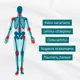 Raminantis gelis su Harpagophytum (velnio augalu): sąnariams, lėtiniam uždegimui, osteoartritui, nugaros skausmams, raumenų įtampai